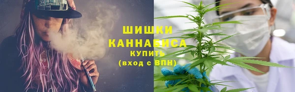 не бодяженный Бородино