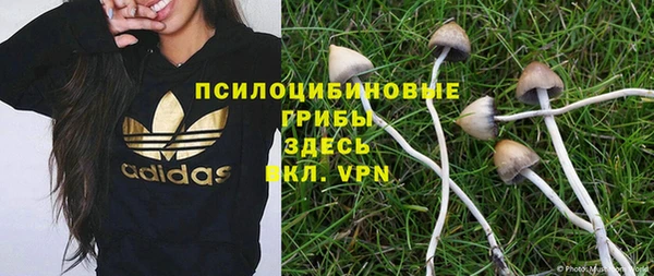 винт Бугульма
