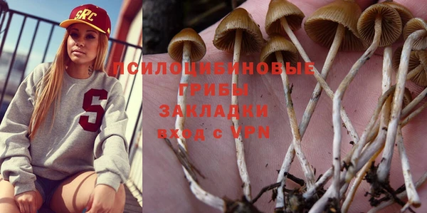 винт Бугульма