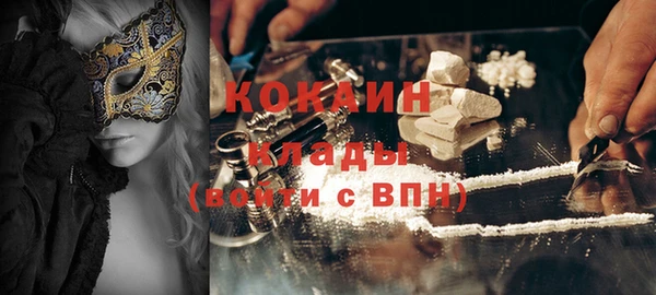 не бодяженный Бородино