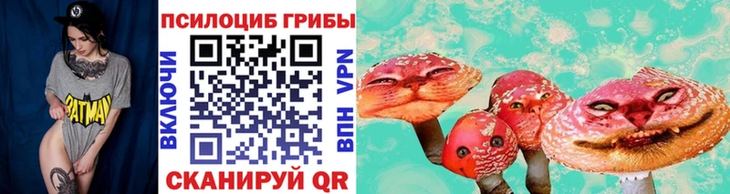 Псилоцибиновые грибы Psilocybe Купить Бежецк